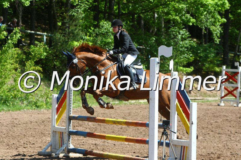 104M8348_Ricodero_SpringWB E.JPG